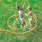 Kids Children's Inflatable Water Spraying Sprinkler Hose Garden Toys - Animal Water Sprinklers for Water Summer Fun (Noodle Sprinkler)