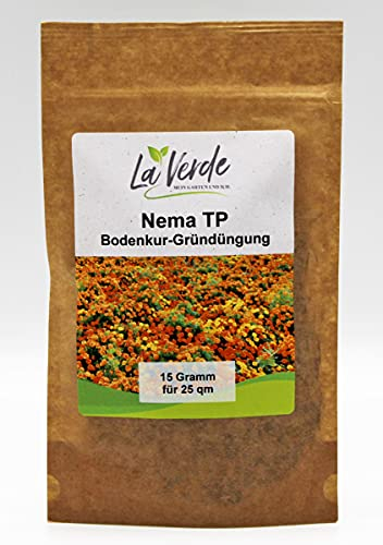 Nema TP 15 Gramm Samen - Bodenkur Orange