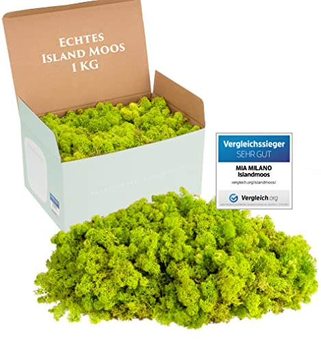 Mia Milano Islandmoos hellgrün konserviert | Moos Deko zum Basteln | 1kg Echtes Dekomoos Isländisch für Moosbild | Mooswand lebend