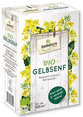 ReNatura Bio Gelbsenf Sinapis alba 0,5 kg Gründüngung Zwischenfrucht