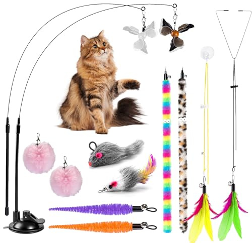 Pmueuff Gioco per Gatto, Giochi per Gatti In Casa con Piume e Ventosa, Giochi Gatto Interattivi, Giocattoli per Gatti per Caccia Giocare e Casa Esercizio