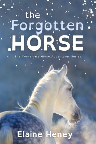 The Forgotten Horse - Dyslexia Friendly: 1 (Connemara Pony Adventures Dyslexia Friendly)
