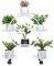 unho Portapiante Battuto Ferro con Ruote: Bianco Portavasi Interno Esterno 6 Vasi Fioriera Supporto Piante Fiori Metallo Portafiori Ferro Battuto da Orchidee Balcone Giardino
