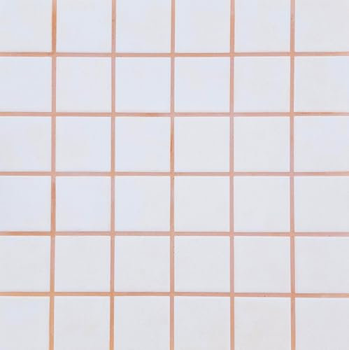 Fugenmörtel-Farben | Einsetzbar für Fugen im Innen- und Außenbereich auf Wand- und Bodenflächen (Terracotta, 1kg)