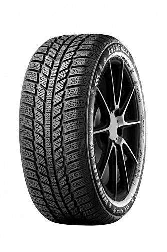 Evergreen EW62 XL - 205/60R16 96H - Neumáticos de invierno