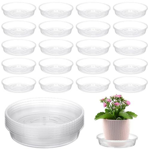 Vergissmeinnicht Lot de 30 soucoupes transparentes en plastique transparent très résistant pour intérieur ou extérieur - 10,2 cm
