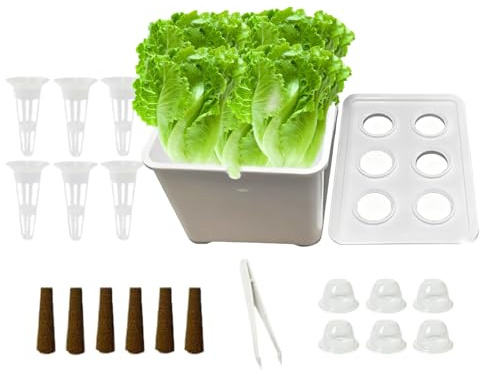 Generico Cassetta Per La Coltivazione - Set Completo Per Coltivazione Tutto L'Anno | Kit Per La Piantagione E Semina Da Interno | Per Balcone Aiuola Hotel Appartamento Verdure Frutta Fiori