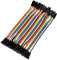 Akozon Jumper Wire 5 stücke Bunte 10 cm Jumper Drähte Set 40pin Female-Female Flachbandkabel Jumper Kabel Wire Steckbrücken Drahtbrücken für Breadboard