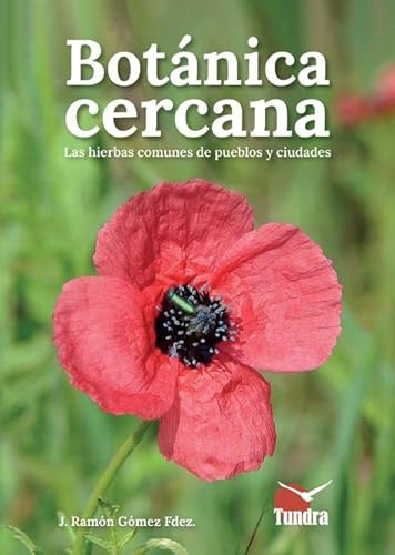 Botánica cercana. Las hierbas comunes de los pueblos y ciudades (SIN COLECCION)