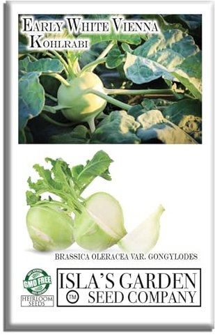 Early White Vienna Kohlrabi Seeds, 300 Heirloom Seeds Per Packet, (Isla's Garden Seeds), Non GMO Seeds, Botanical Name: Brassica oleracea