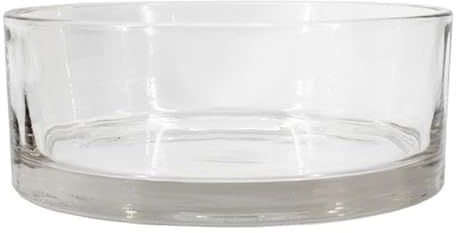 INNA-Glas Dekoskål VERA OCEAN av glas, transparent, 8 cm, Ø20 cm | serveringsskål