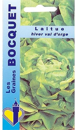 Sachet de graines de Laitue d'hiver Val d'orge - 4 g - légume feuille - LES GRAINES BOCQUET