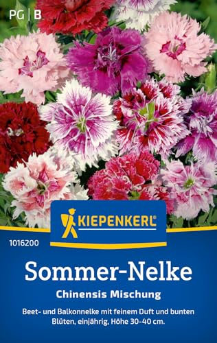 Kiepenkerl Sommer-Nelkensamen Chinensis Mischung 1016200 - Einjährige Blumensamen mit einer Wuchshöhe von 30 bis 40cm und Inhalt für 80 Pflanzen - Saatgut