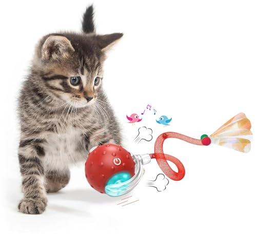 KQLHLHDYZ Giocattolo interattivo per gatti giocattolo per gatti per gatti da interno giocattolo per gatti adulti giocattolo intelligente per gatti giocattolo per gatti con sensore di movimento Smart
