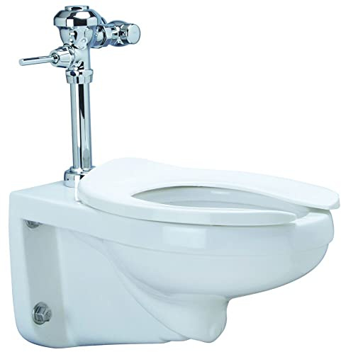 Zurn Z.WC1.M Zurn One Manual Wall Hung Toilet System with 1.1 GPF Flush Valve
