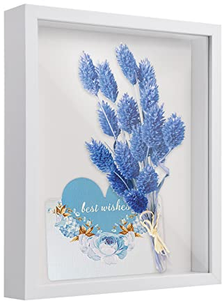 3D Bilderrahmen, 22 x 27 cm Hölzern 3D Rahmen , Schattenbox Vitrine mit Transparente Acrylplatte Rahmen, Tiefer 3D Objektrahmen für Foto Blumen Erinnerungsstücke Medaillen (Weiß 3CM)