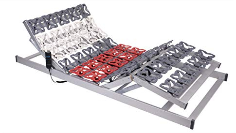Wolke 24 Motor Tellerfeder Lattenrost Elektrisch Proform, Tellrost mit Motor, Lattenrost mit Teller (Funkfernbedienung, 80 x 200 cm)