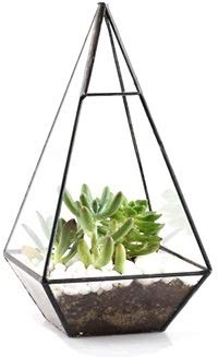 24cm Black Pyramid Terrarium - Metal and Glass Planter Flower Pot for House Plant, Succulent, Moss, or Tea Light/Votive Candle Holder