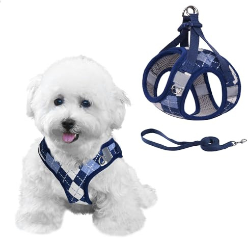 PawSailor Harnais Chien Anti-Fuite Anti-Traction, Carreaux Harnais pour Petit Chien avec Laisse Réglable Respirante, Sécurité Réfléchissante pour l'entraînement à la Marche, Bleu XXS