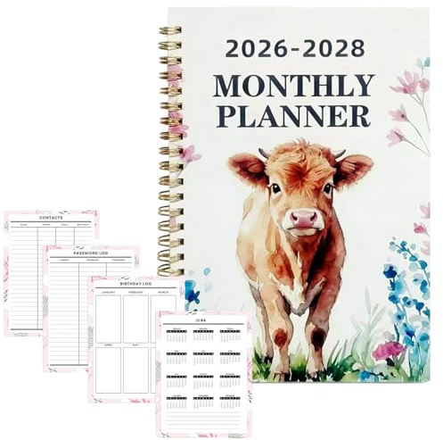 Calendario mensile – Agenda organizer per 3 anni, per scuola, bambini, studenti, università, scrivania, lavoro, ufficio, casa e lavoro
