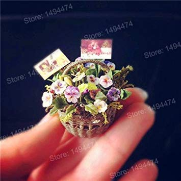 Vista 200 stücke mischfarbe seltene mini stiefmütterchen samen Wellenförmige Viola Tricolor Blumensamen Helle Schöne folwer mini bonsai für hausgarten Dunkelgrau