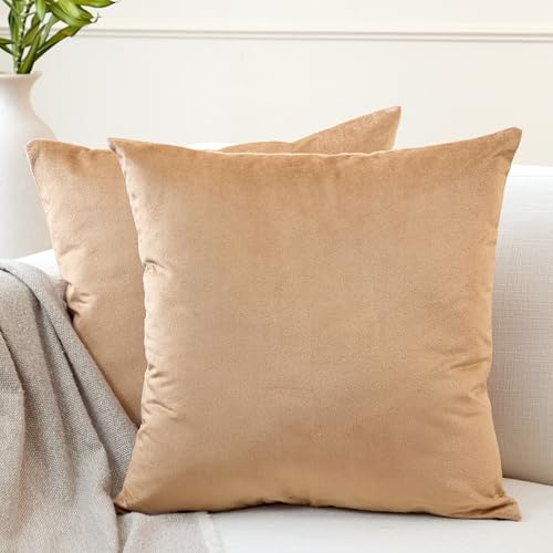 Encasa Homes VELVET Kuddfodral, 2-pack, 50 x 50 cm (20 x 20 tum) – guld, solid vanlig färg, mjukt och smidigt, tvättbart, fyrkantigt dekorativt stort kuddöverdrag för soffa, stol, säng och hem