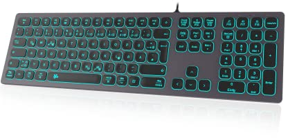 Kabelgebundene USB-Tastatur Slim - Aluminiumgehäuse Mit Numerischer Tastatur, RGB-Hintergrundbeleuchtung, Kompatibel Mit iMac (2016 und 2017, Pro) und PC (Space Grey)