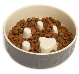Scruffs Icon Slow Feeder Pet Bowl 20cm Grey