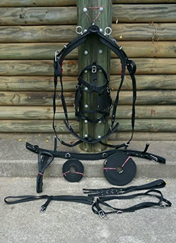 Cwell Equine NEW NYLON HORSE DRIVING CART HARNESS WITH SADDLE BRIDLE etc - D/F/C/P/S/M Black (SHETLAND)