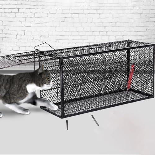 Trampa for Gatos, Jaula for Animales Vivos, De Acero De Doble Capa, Robusta, Grande, Humana, for Gatos Pequeños, Callejeros, Mapaches Y Ardillas.(52 * 26 * 26CM)
