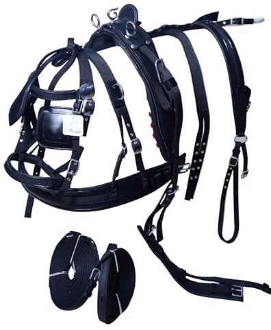 Aces Equine Arnés de conducción de nailon para carrito de caballos, color negro, tamaño completo, mazorca, pony (mazorca)