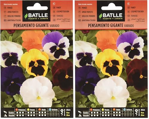 Batlle – Semi di Fiori – Viola del Pensiero Gigante in miscuglio (Confezione da 2)