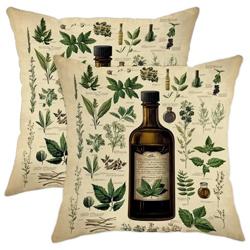 Kräuterkissen-Set, grüne botanische Pflanze, rustikale Bauernhaus-Dekoration für Wohnzimmer, Couch, Sofa, Bettwäsche, 45,7 x 45,7 cm, 2 Stück