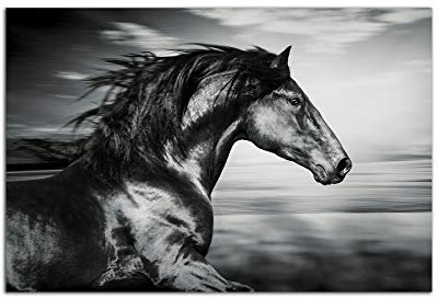 Startonight Cuadro sobre Vidrio - Hermoso Caballo Negro - Moderno Cuadro de Cristal Acrílico 60 x 90 cm