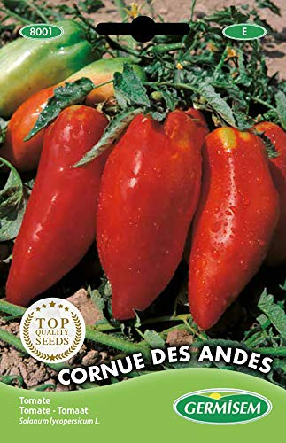 Germisem Cornue de Andes Graines de Tomate 0.2 g EC8001 Multicolore