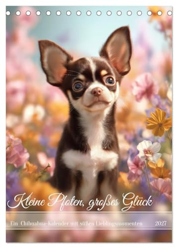Kleine Pfoten, großes Glück (Tischkalender 2027 DIN A5 hoch), CALVENDO Monatskalender: Dieser Chihuahua-Kalender zeigt die süßesten Fellnasen in ... herzerwärmenden Momenten. (CALVENDO Tiere)
