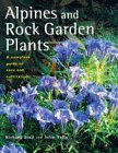 Alpines and Rock Garden Plants: A Complete Guide to Care and Cultivation