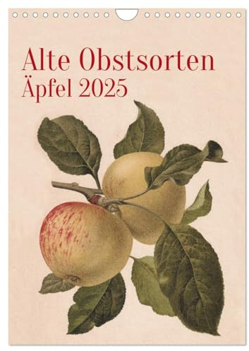 Tipos de frutas antiguas - manzanas 2025 (calendario de pared 2025 DIN A4 alto), calendario mensual CALVENDO - Las variedades antiguas de frutas se muestran en litografías de colores históricas... en