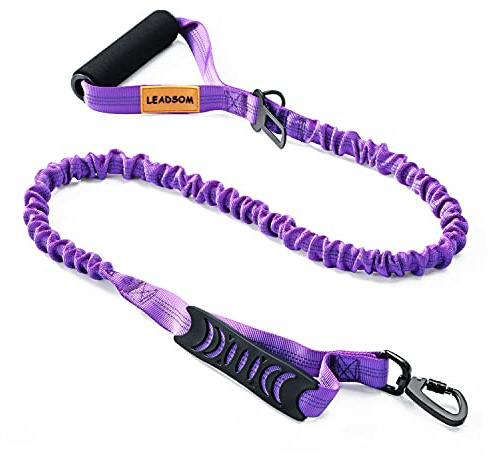 LEADSOM 6FT Highly Reflective Heavy Duty Elastic Bungee Medium and Large Dog Leash Shock Absorbing with Comfortable Padded Handle and Traffic Handle Suitable for Training