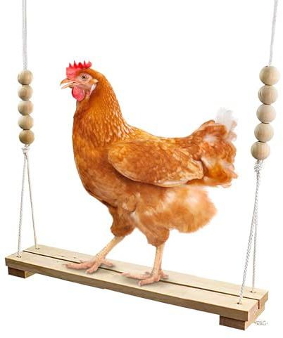 Amesor Balançoire pour Poules, Jouets en Bois Naturel Sécurisés pour Poussins, Accessoires D'Habitat Et Fournitures Essentielles pour Éleveurs d'oiseaux Décor Extérieur Poules Ferme Débutant Poussins