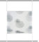 Home fashion UP & DOWN PLISSEE Rawlins, Polyester, Stein, 130 X 80 cm, 5
