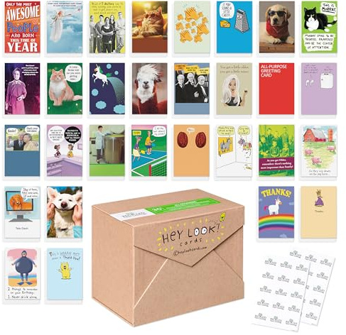 Recycled Paper Greetings 30-Count Funny All Occasion Card Assortment with Envelopes, Seals, and Storage Box by Hey Look!