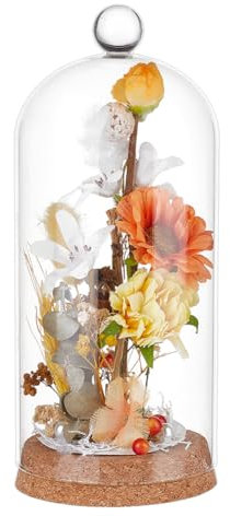 BENECREAT Campana Espositiva In Vetro con Maniglia Superiore Rotonda, Vasi Decorativi A Cupola Da 20.5x9cm con Base In Sughero per Piante Esemplari, Decorazioni Fai Da Te