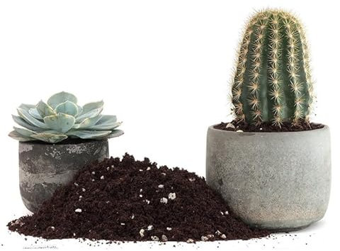 Sustrato Crasas DECOALIVE Turba Envase 5L para Cactus y Plantas Suculentas