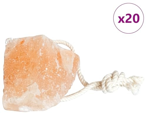 vidaXL Piedras de Sal para Lamer Rosa Sal de Roca, Cuidado del Ganado, suplemento Mineral Moderno, Bloque de Sal Durable, Suministro Saludable de nutrientes para Animales
