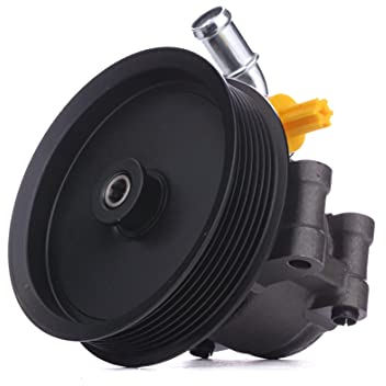 RIDEX 12H0196 Pompe de direction assistée hydraulique pour FORD Transit Custom V362 Van (FY, FZ)