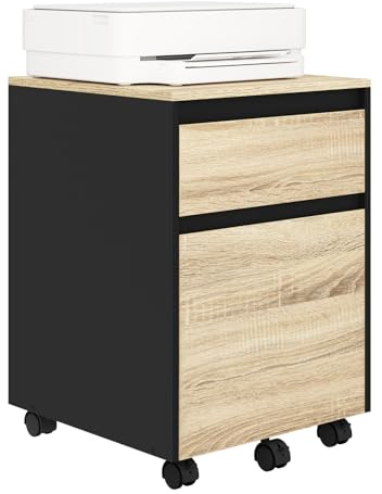 WOLTU Rollcontainer, Aktenschrank mit 2 Schubladen, mobiler Büroschrank, Schreibtisch Unterschrank, Druckerschrank auf Rollen, für Büro Homeoffice, 40x56x40 cm