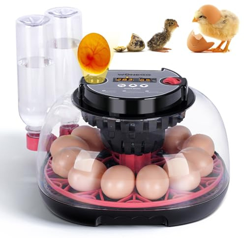 Incubadoras AutomáTicas para Incubar Huevos 12 Incubadoras de Huevos con Volteo AutomáTico y Control de Humedad, Candler de Huevos, ReposicióN AutomáTica de Agua Para Pollos Codornices Patosturcos