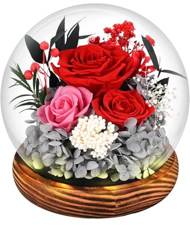 Comius Sharp Rosa Eterna Natural Preservada, Rosa Eterna con Luces Led, Ramo Flores En Cúpula De Cristal, Navidad Regalos Mujer Mama, San Valentin Regalo Dia De La Madre (A)