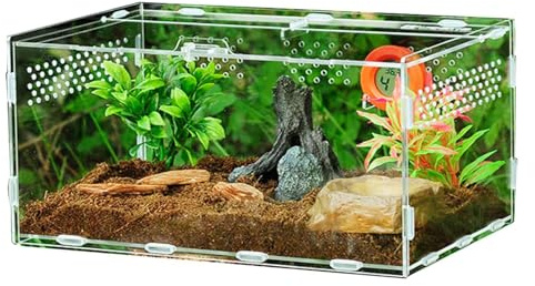 Caja de Alimentación y Hábitat para Insectos y Reptiles, Terrario Anti-Escape, Recipiente de Acrílico para Transporte de Araña, Rana, Escorpión